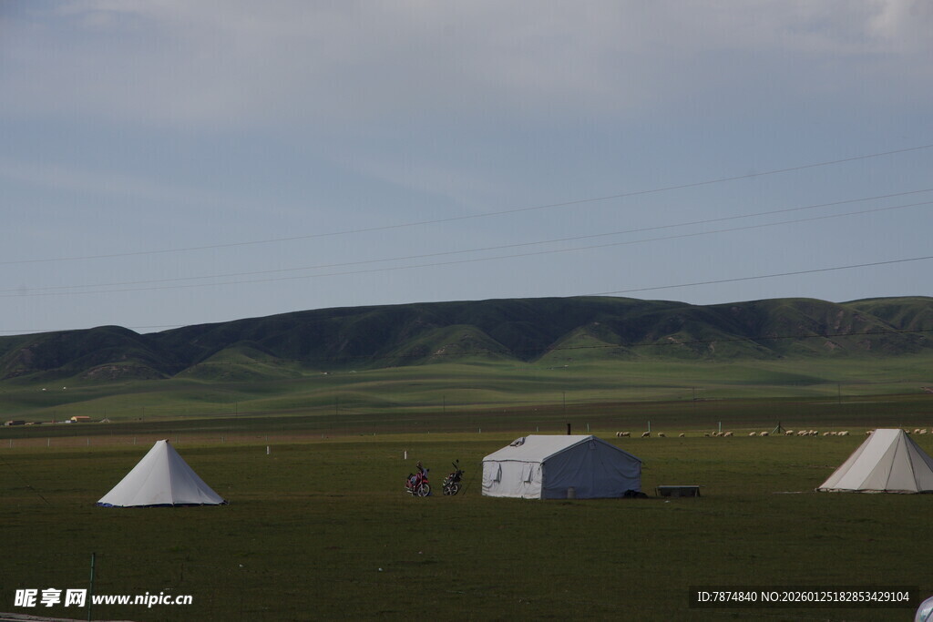 草原上的白色帐篷景观