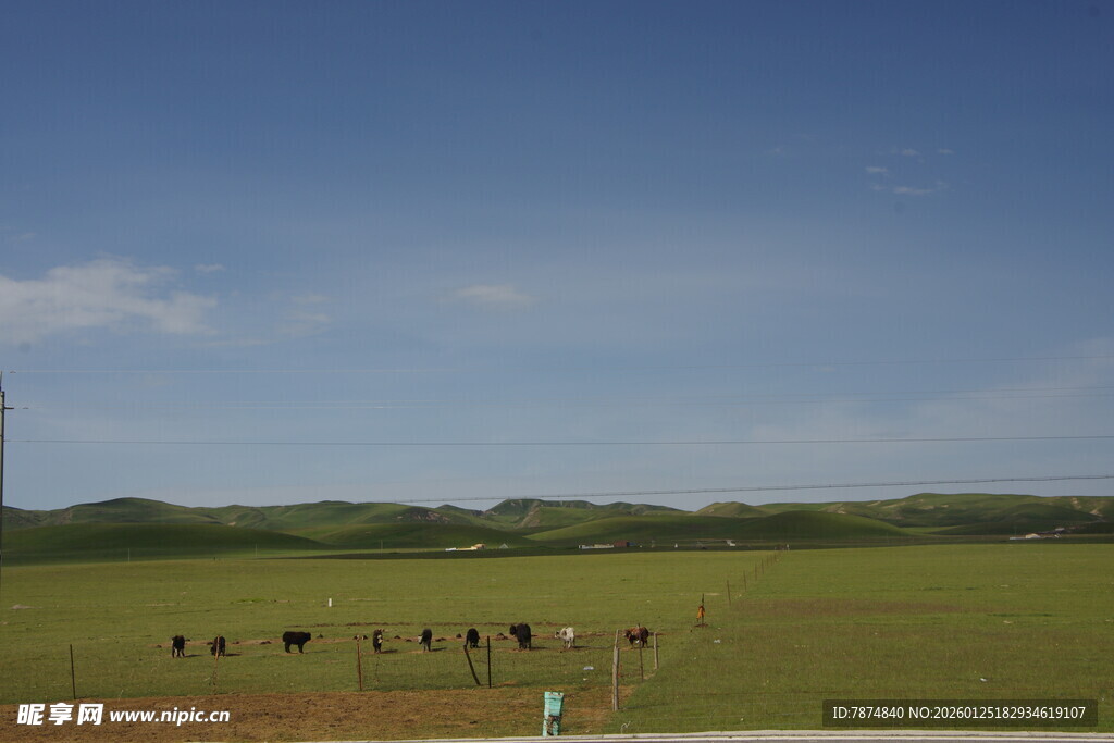 草原牧场景色