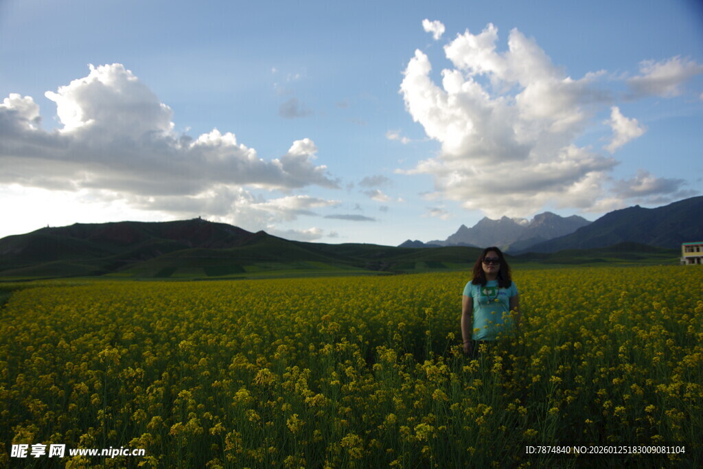 田野中的独行者