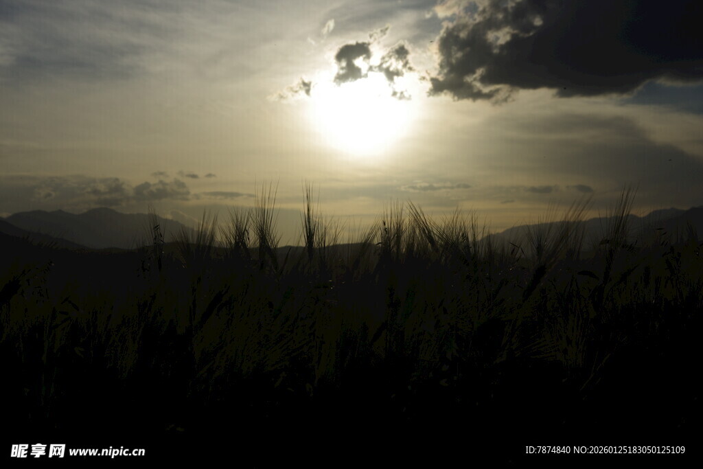 日落时分的田野风光