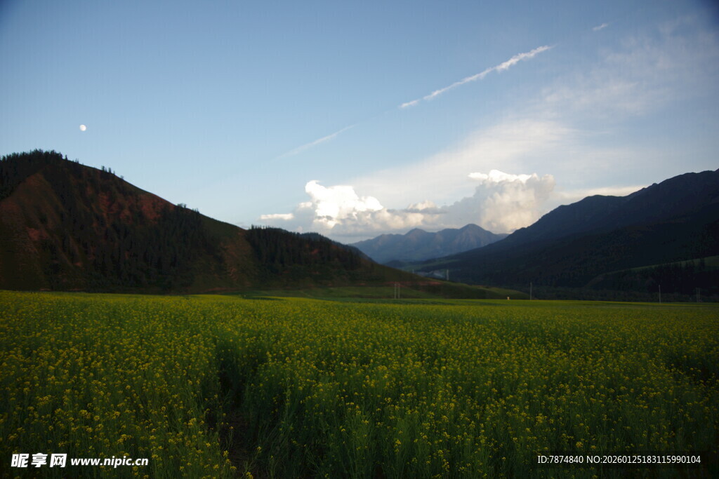 绿野青山间的美丽风光
