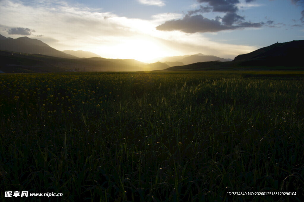 草原日落美景