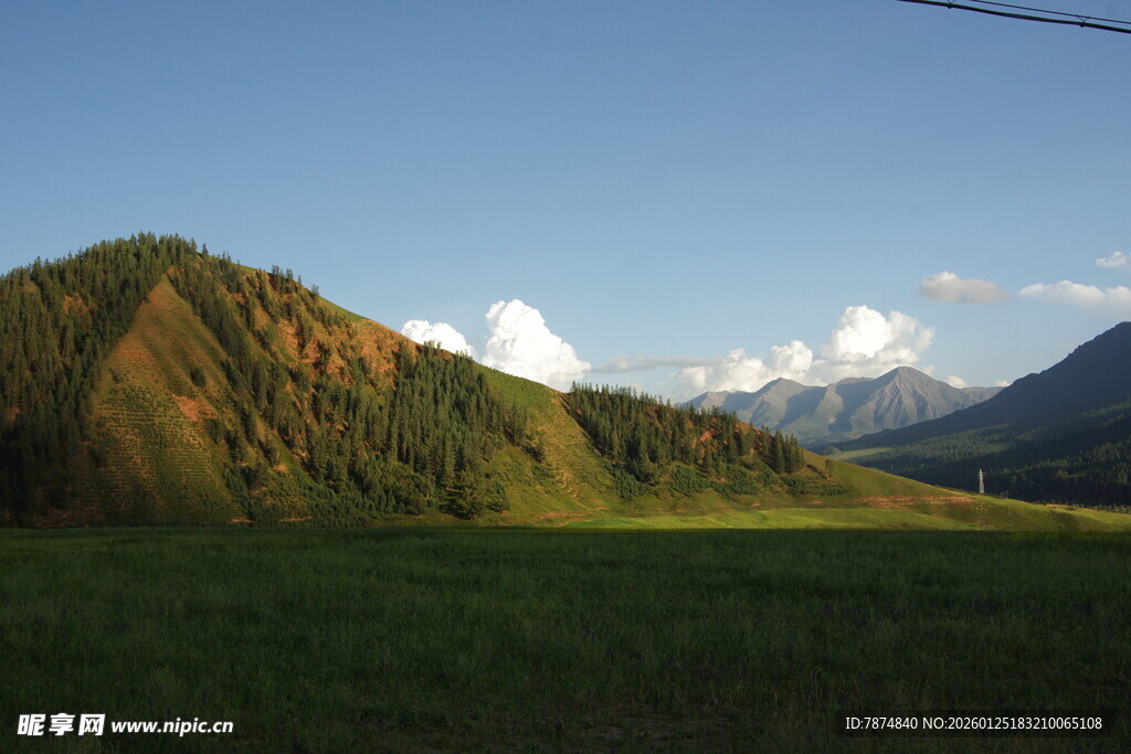 山间绿野 远处雪山美景
