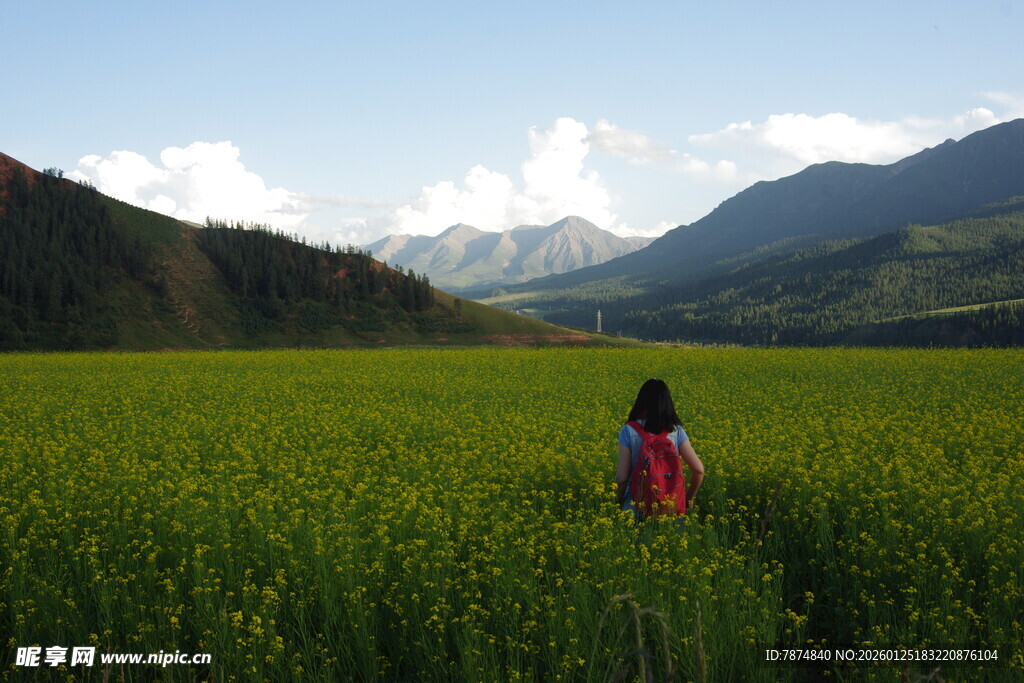 女孩漫步于绿色田野之间