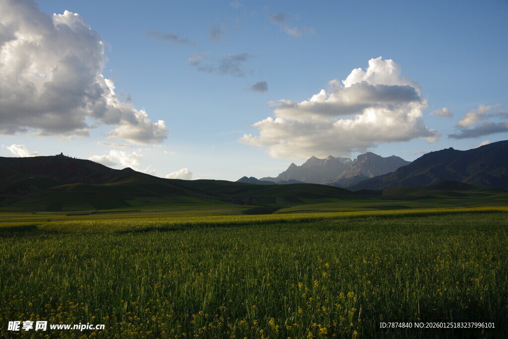 草原远山蓝天美景