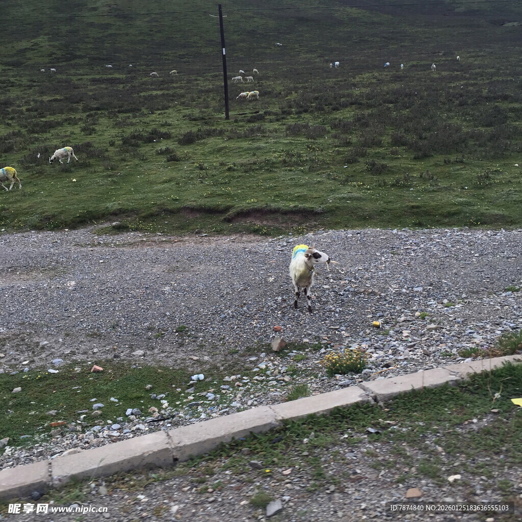 山间碎石地的孤独身影