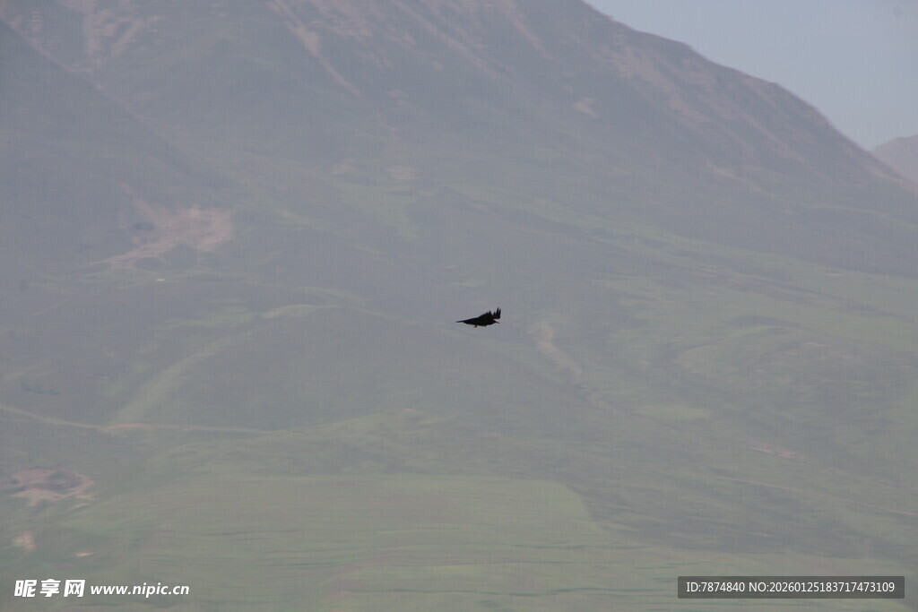 空中飞鸟与远山景色
