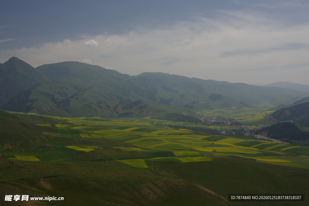 山间油菜花海美丽风光