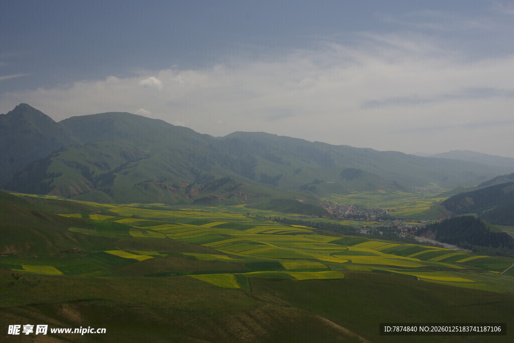 山间油菜花海美景