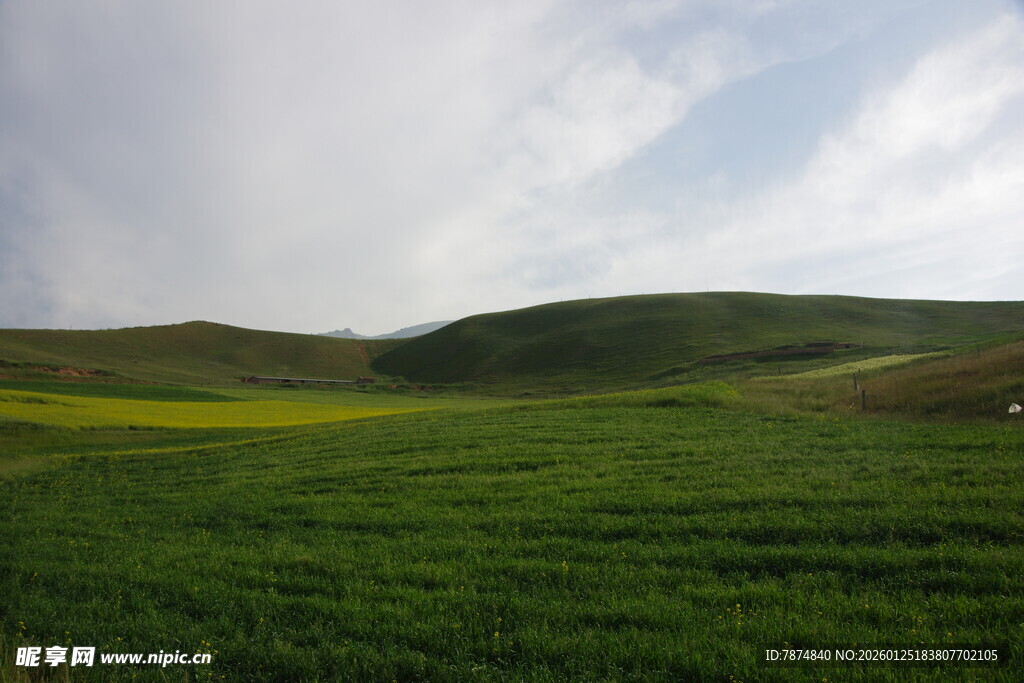 广袤绿野 云下田园风光