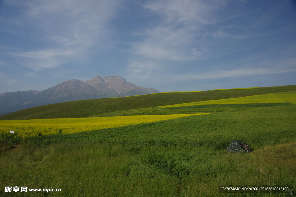 草原花海与远山美景