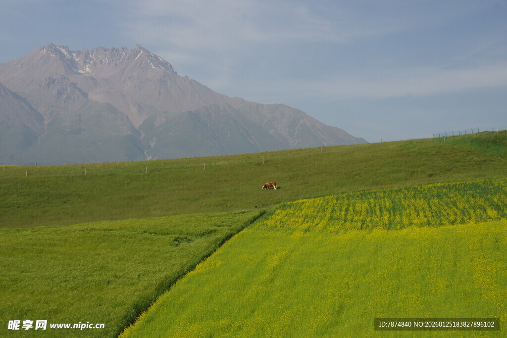 草原绿野与远山美景