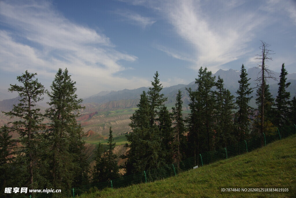 山林云雾间的清新景致