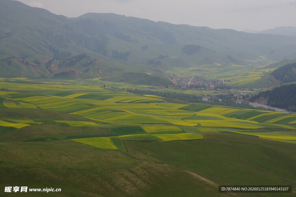 春日田野风光 黄绿相间