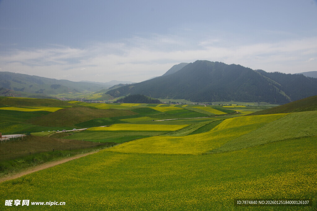 春日田野风光美景