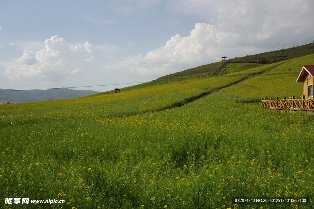 草原小屋 自然风光如画