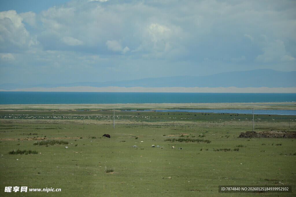 草原与海的辽阔景致
