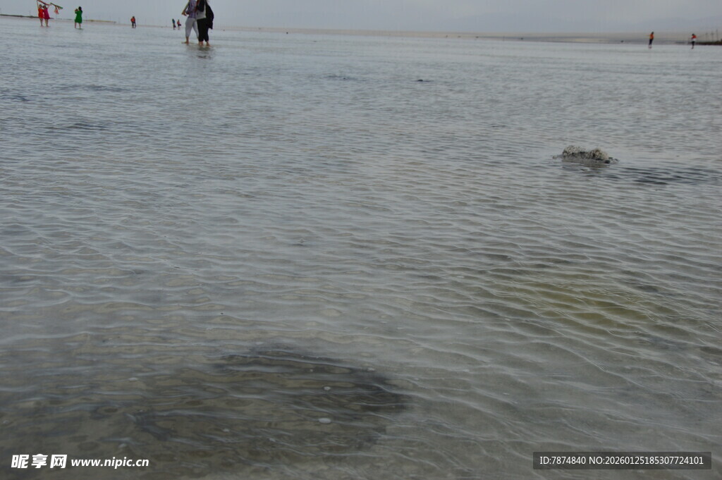 浅滩上的漫步身影