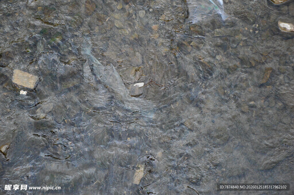 清澈溪流中的碎石