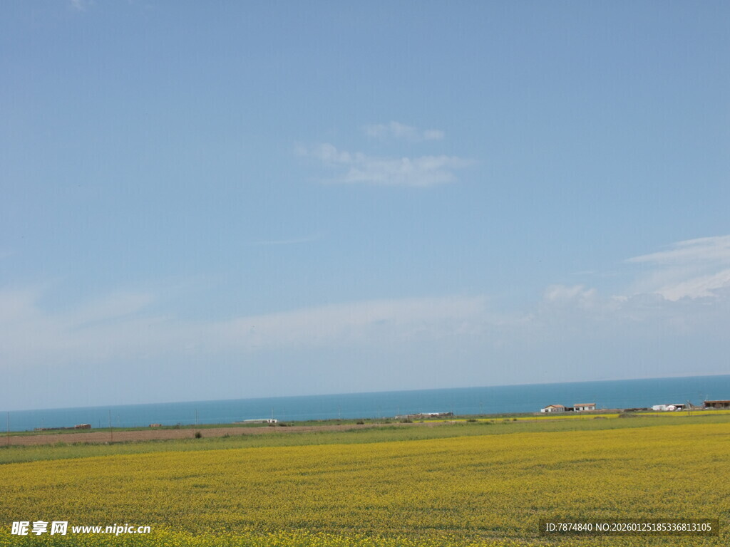 草原花海与碧海蓝天