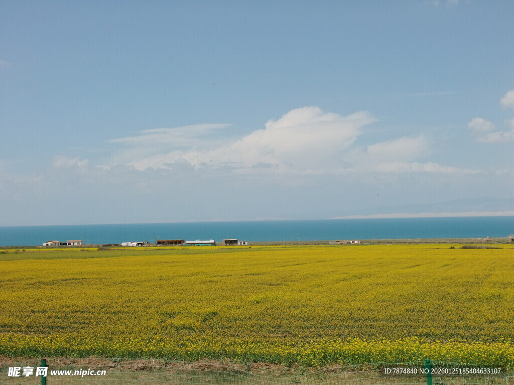 草原花海与蓝天碧海美景