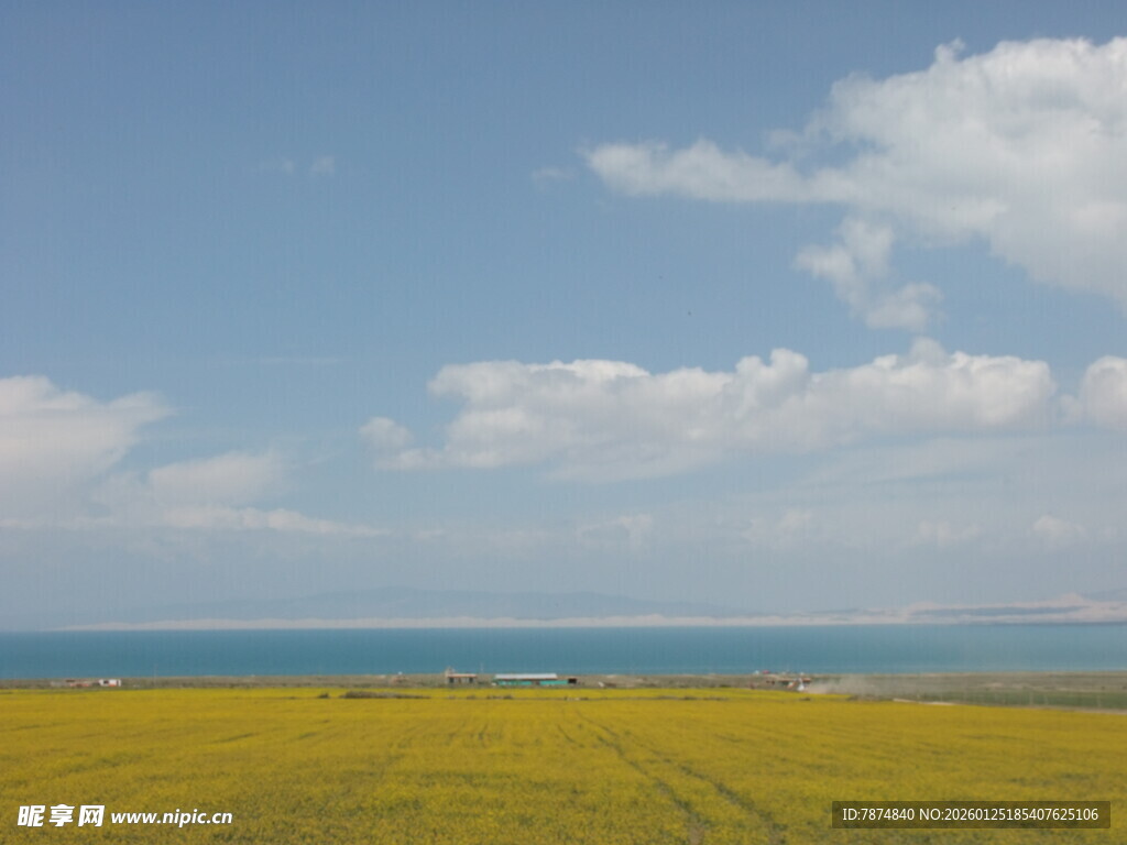 金黄田野与蓝天碧海美景