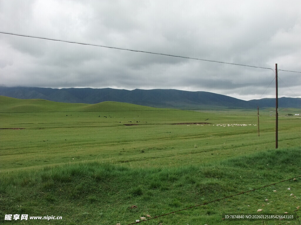 草原风光 阴天下的辽阔绿野