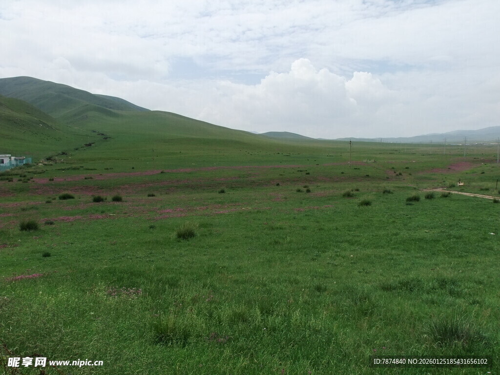 广袤草原风光
