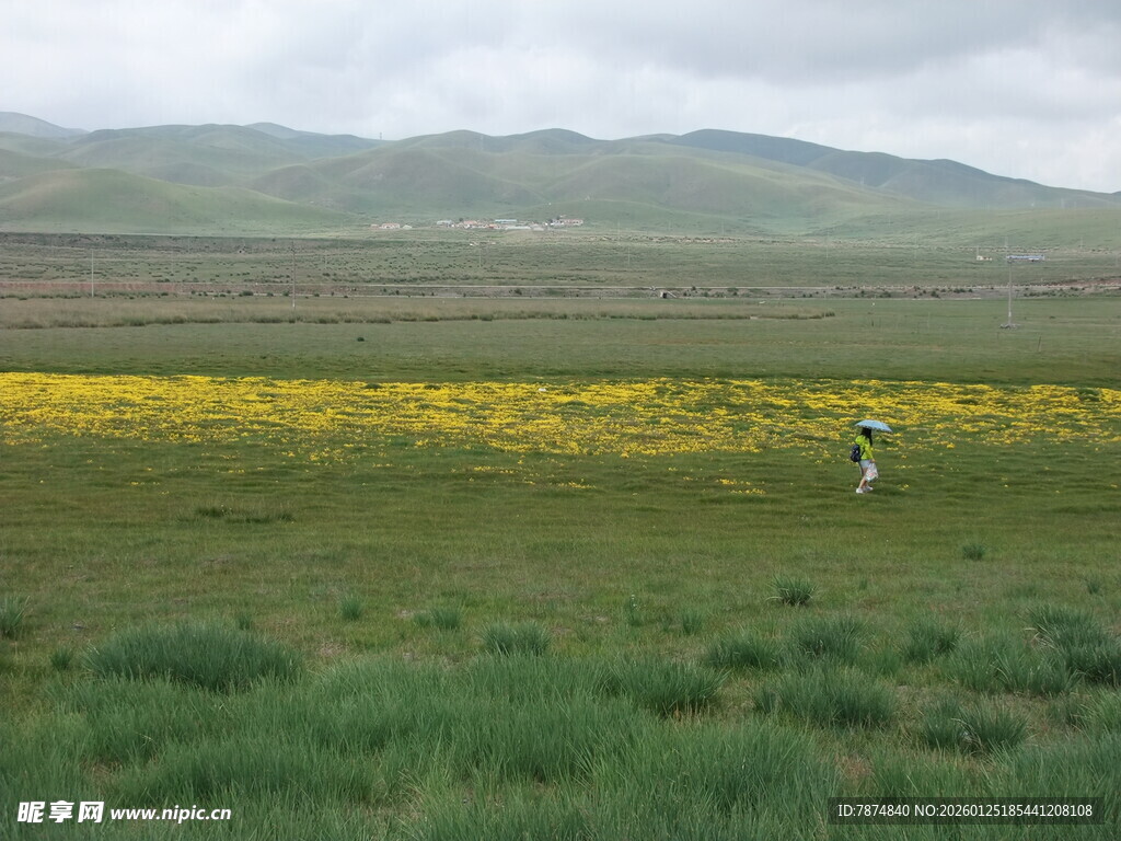 草原花海中的漫步身影