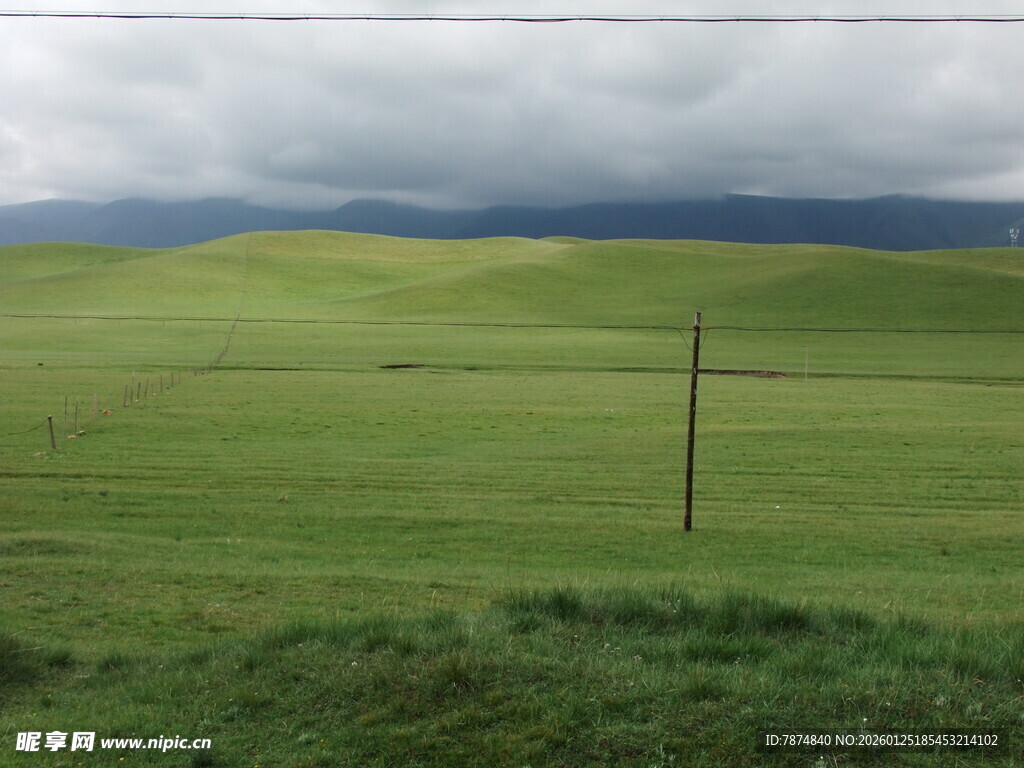 广袤草原上的孤独电线杆