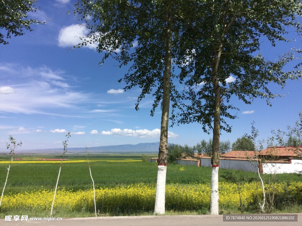 田园风光中的绿树与蓝天