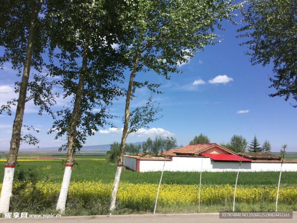 乡村田野间的红顶房屋