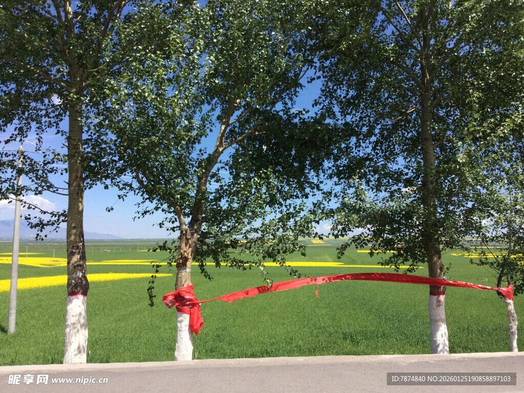 绿树环绕的开阔草地景观