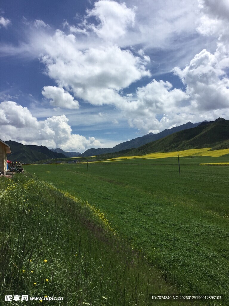 草原风光 蓝天白云下的绿野