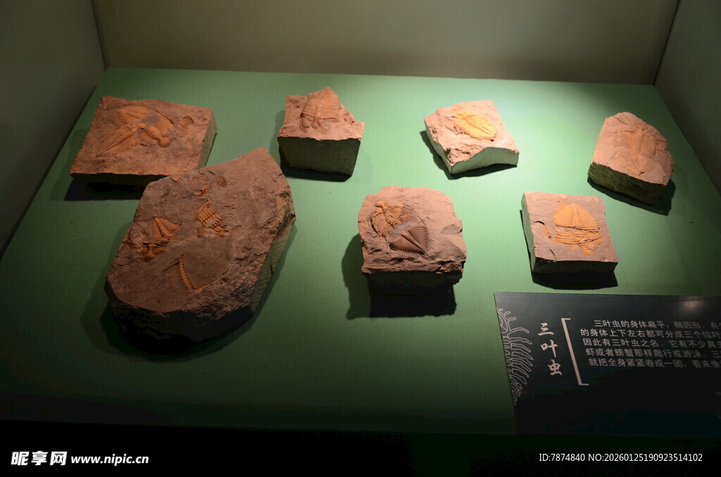 古代陶片文物展示