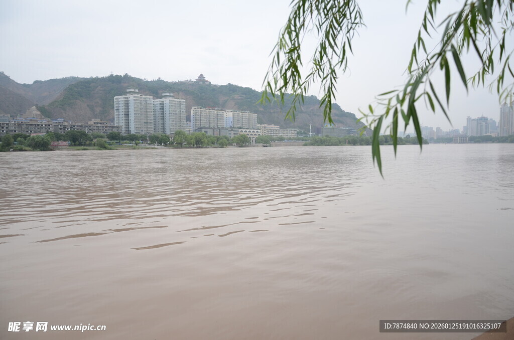江边垂柳与滔滔江水
