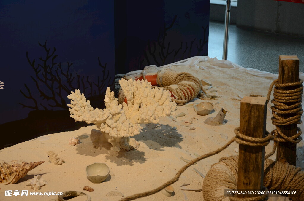 海洋主题手工艺品展示