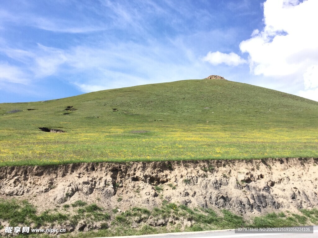 草原边缘的土层剖面