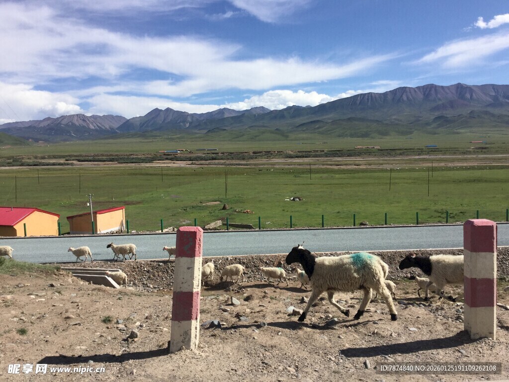 草原边的羊群与多彩小屋