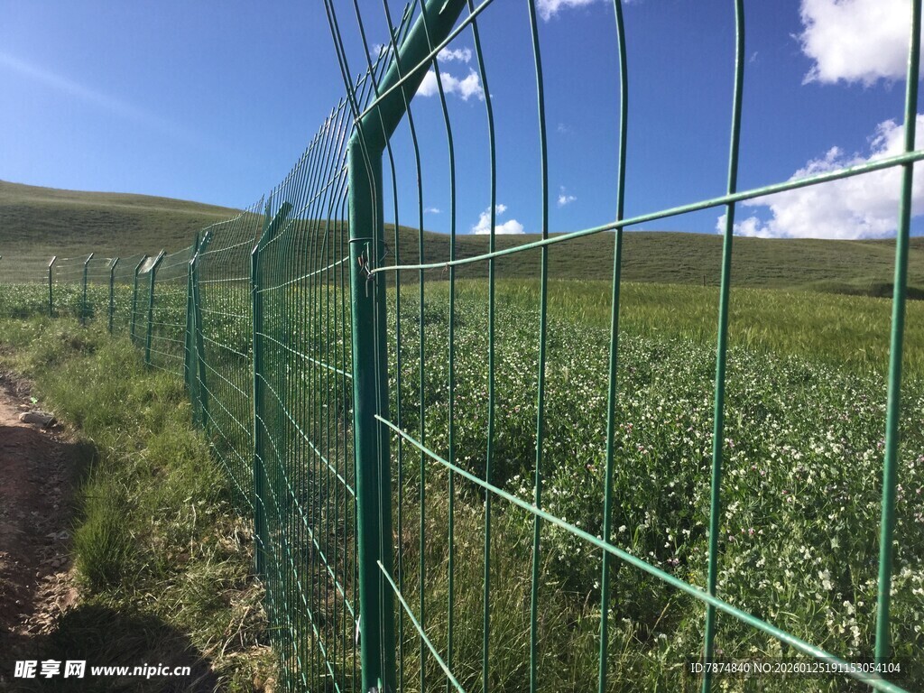 绿色围栏下的开阔草地