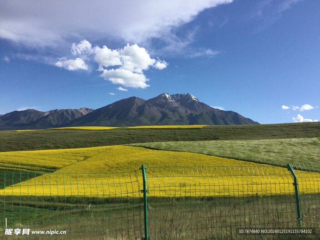 草原花海与远山美景