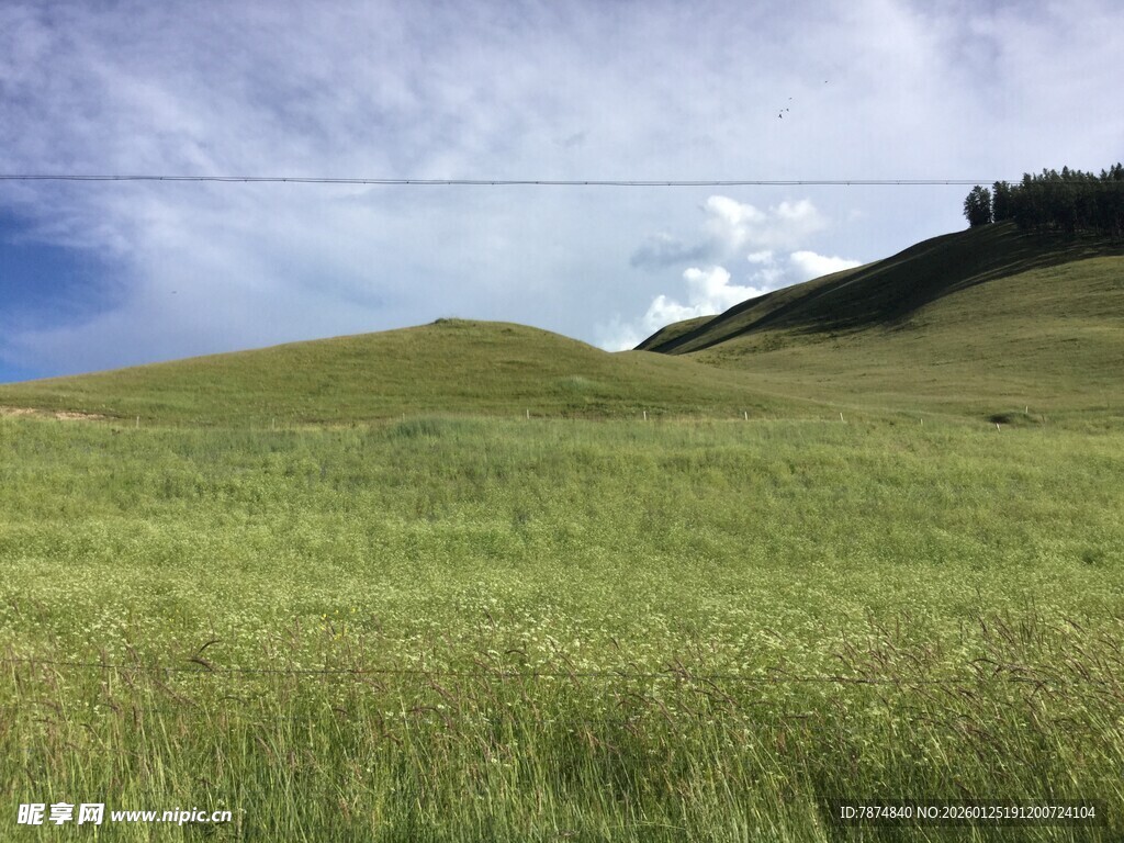广袤草原 蓝天绿地美景