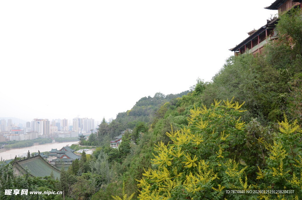 山间黄花伴古建筑远景