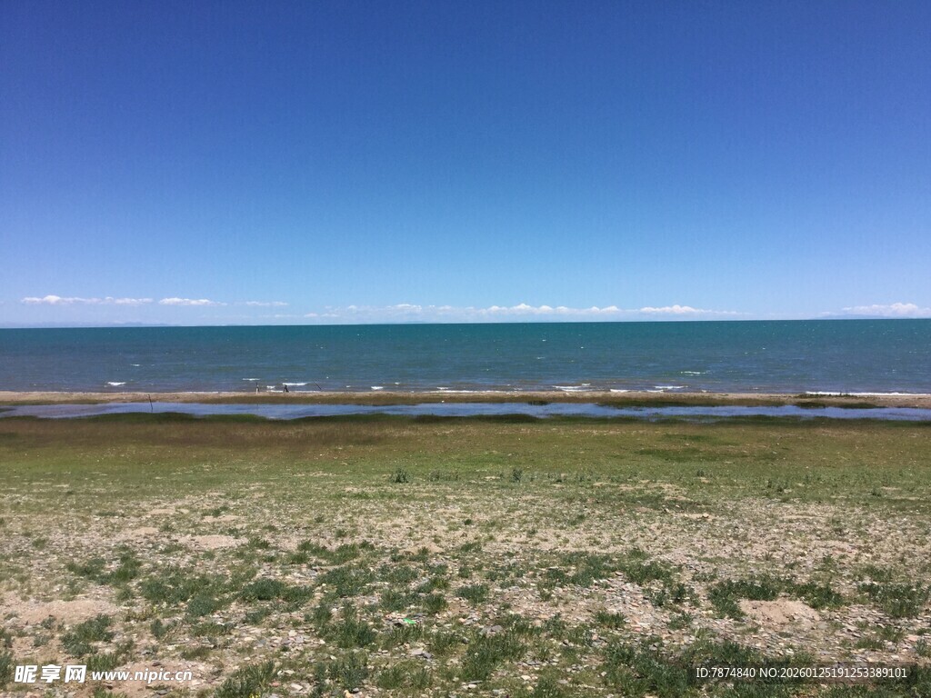广阔海岸边的草地与蓝天