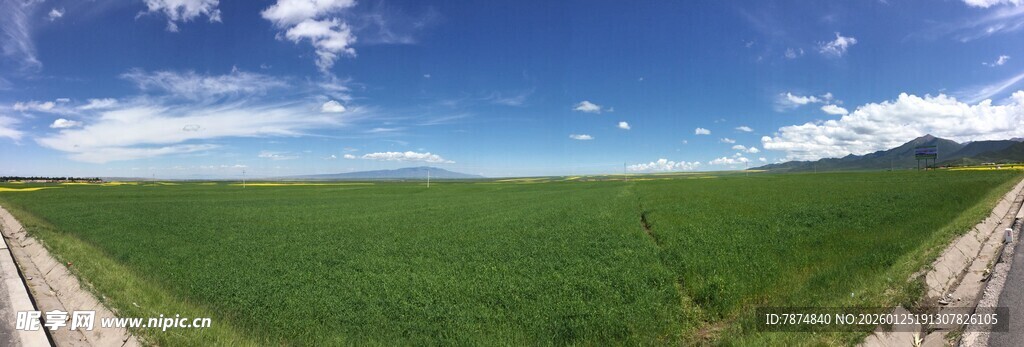 广袤绿野间的开阔道路