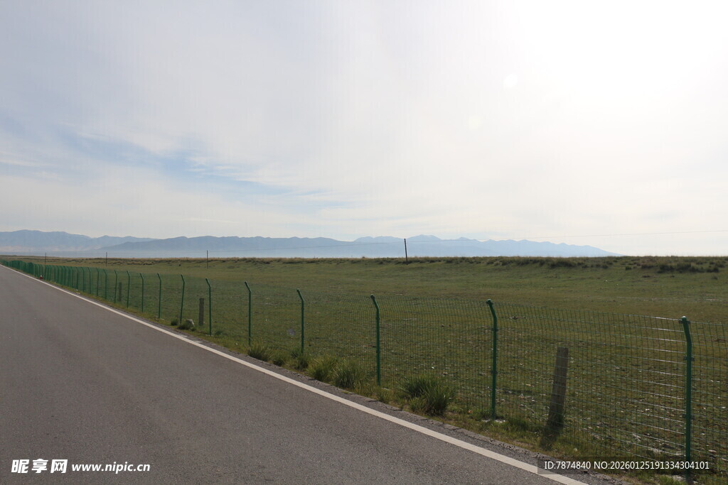 宽阔公路旁的绿色田野
