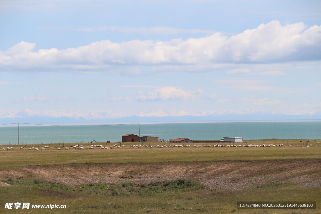 草原与海的辽阔景致