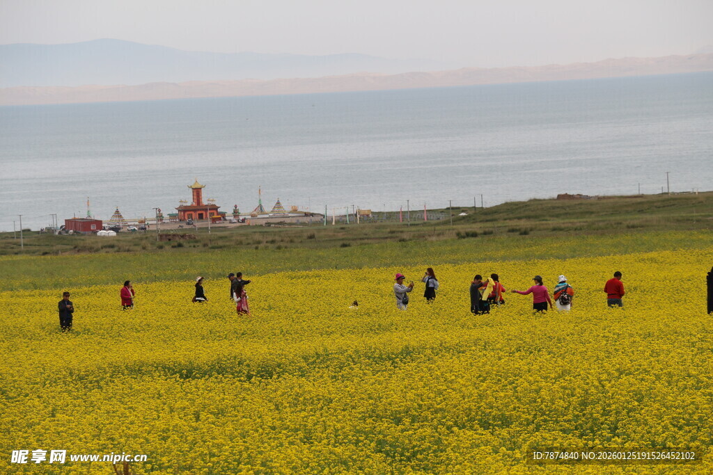 油菜花海中的欢乐人群