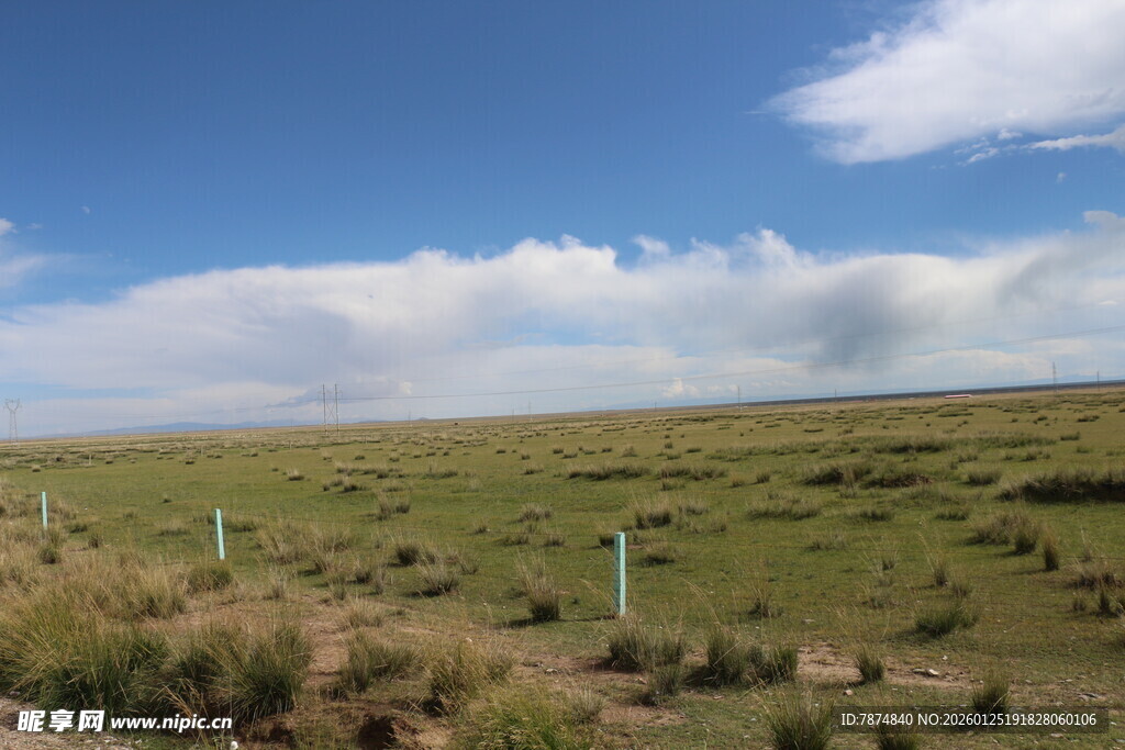 草原风光 蓝天白云绿地