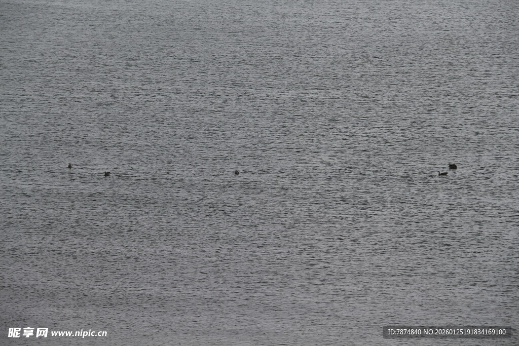 灰色纹理墙面背景图